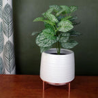 Elegant White Ceramic Planter w/ Metal Stand - Stylish Design!
