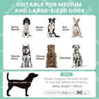 Pet Bed with Each Detail