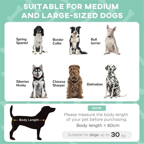 Pet Bed with Each Detail