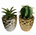 15cm Set of Two Silver and Gold Ceramic Planters with Artificial Cactus and Dracaena in Gold