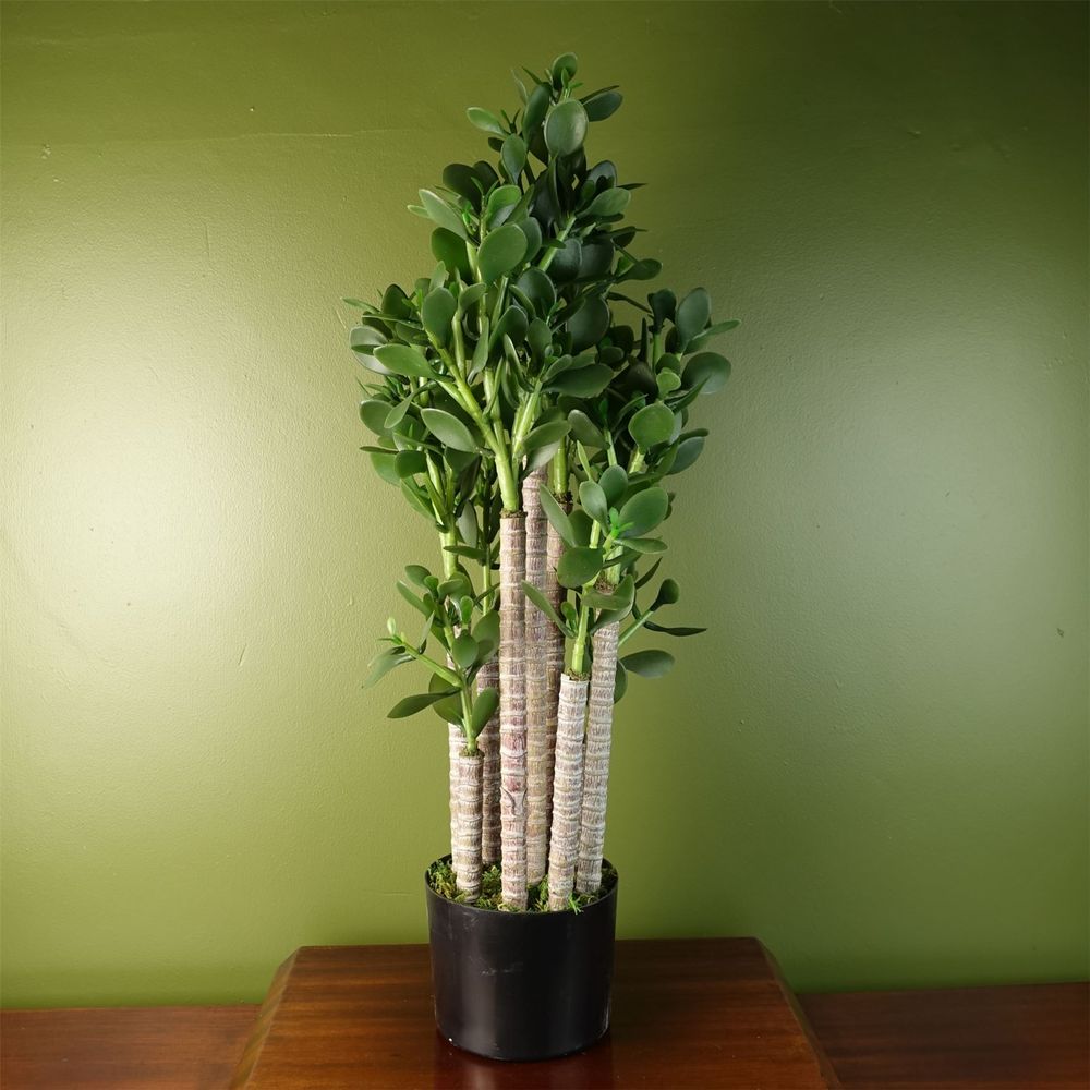 Deluxe 75cm Green Jade Plant: Exquisite, Realistic, Elegant, Sophisticated, for Any Space