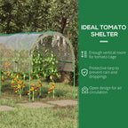Tomato Greenhouse with Top Tap, Pointed Bottom and Guy Ropes, Clear