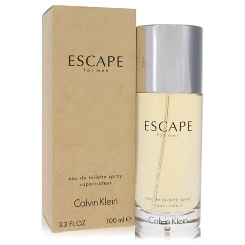 Spicy Eau de Toilette Spray 100ml Woody