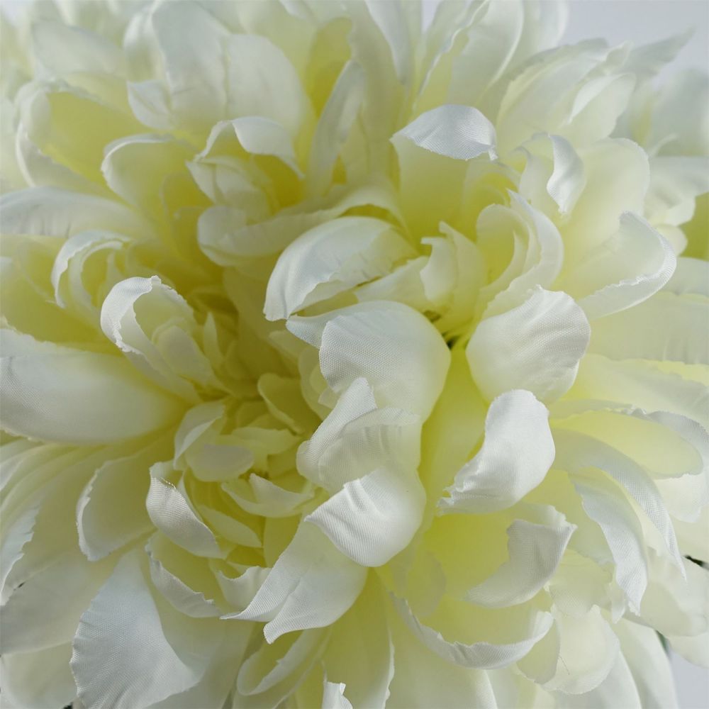 75cm Extra Large Chrysanthemum - White