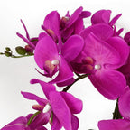 85cm Dark Pink Artificial Deluxe Orchid - and Exquisite Craftsmanship