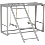 Chicken Activity Play Chicken Coop with Swing Set for 3-4 Birds, Grey