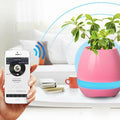Debonair Music Flower Pot Bluetooth Speaker - for Bedroom, Office & Living Room - [Pink]