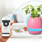 Debonair Music Flower Pot Bluetooth Speaker - for Bedroom, Office & Living Room - [Pink]