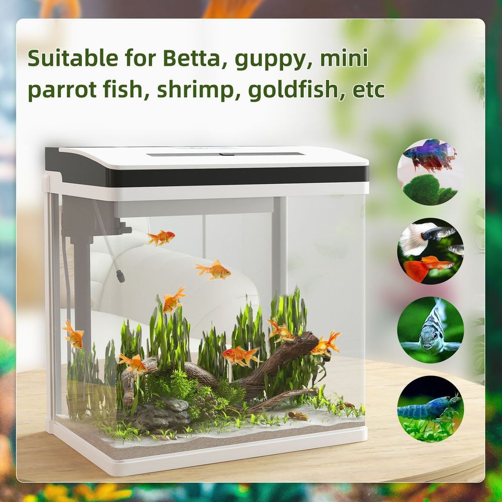 28L Glass Fish Tank, Filter, LED Lighting