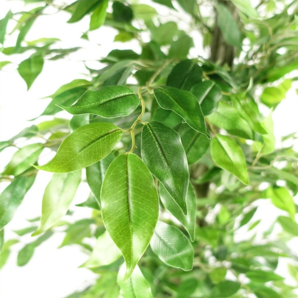 180cm Artificial Ficus Tree: Realistic, Green