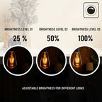 Vintage LED Edison Dimmable Bulbs - 5Pack Amber Glass - Warm White 2700K - Energy Saving - Long Lasting