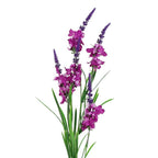 Pack of 6 x 80cm Dark Pink Larkspur Artifical Stem in Pink