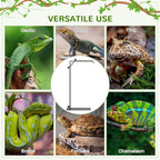 Reptile Lamp Stand: Adjustable Height, Stable Base, Versatile for Lizards & Snakes