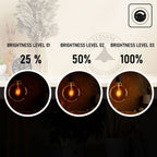 Vintage Amber Glass LED Edison Bulbs - Dimmable, Warm White, 2 Pack, 2700K - Professional Quality