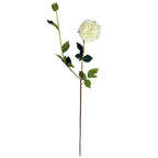 75cm Artificial Dahlia PomPom Flowers Cream