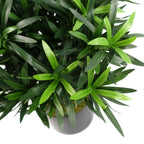 40cm Podocarpus Bush: Artificial, Silk Leaves, Wood Trunk