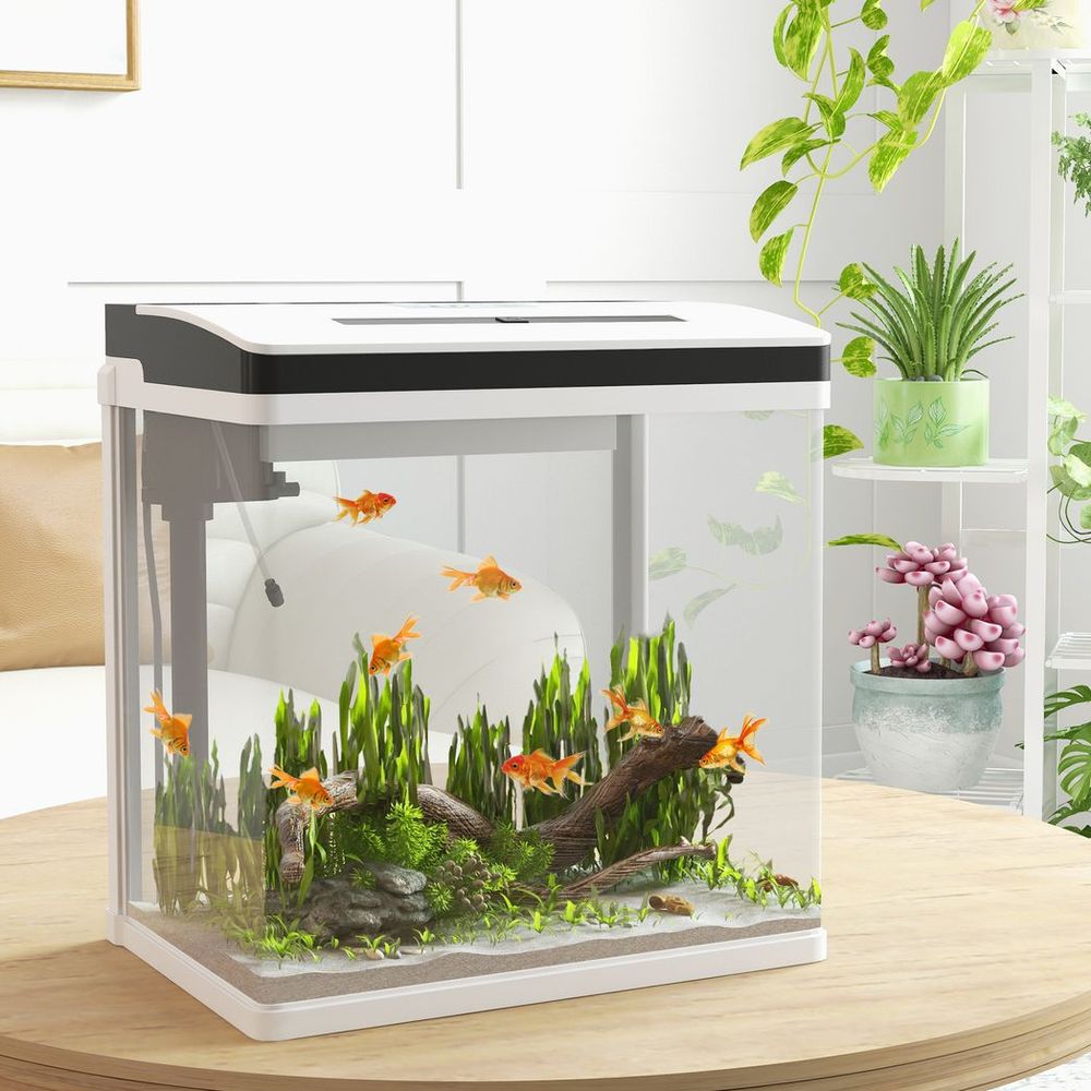 28L Glass Fish Tank, Filter, LED Lighting