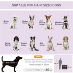 Pet Carrier for Everyday Use