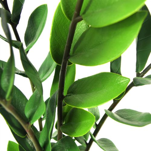 75cm Artificial Zanzibar Green Gem Zamioculcas Succulent Indoor Plant in Green