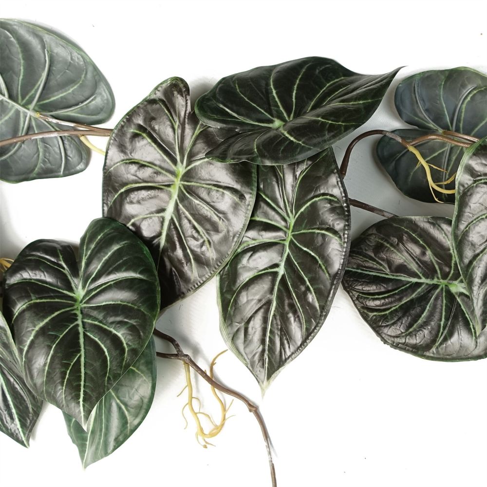6-Pack Trailing Alocasia Dragon Scale Dark - 120cm Artificial Hanging Plants