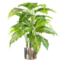 100cm Large Fox's Aglaonema Tree - Artificial Plant with Silver Metal Planter