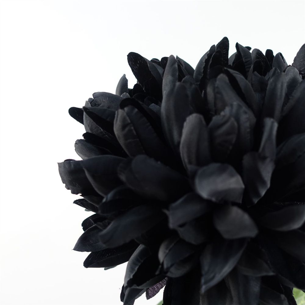75cm Extra Large Chrysanthemum - Black