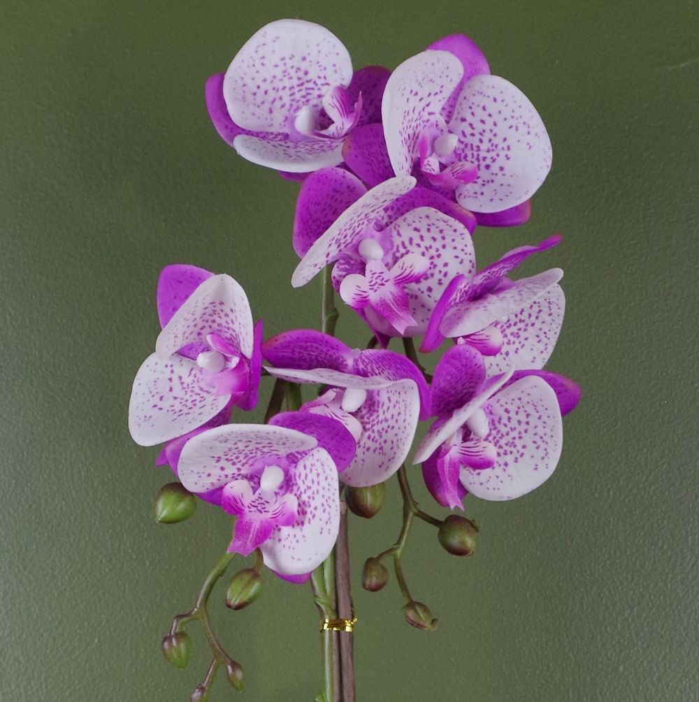 50cm Phalaenopsis Orchid Artificial - Purple / White - Gold Pot in White