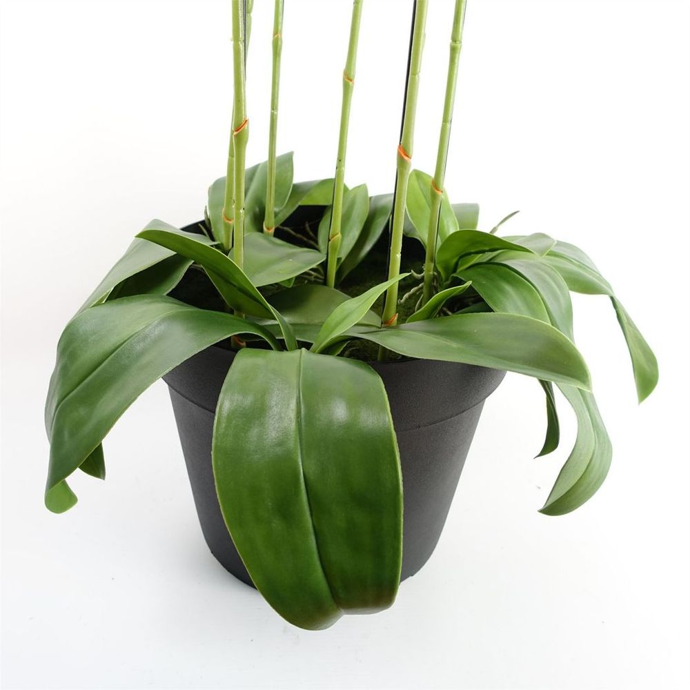 150cm Giant Purple Orchid Plant Artificial REAL TOUCH 189 flowers