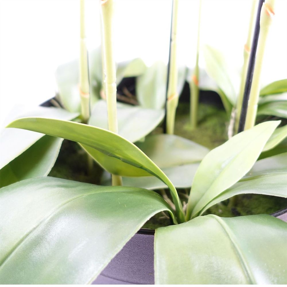 150cm Giant Purple Orchid Plant Artificial REAL TOUCH 189 flowers