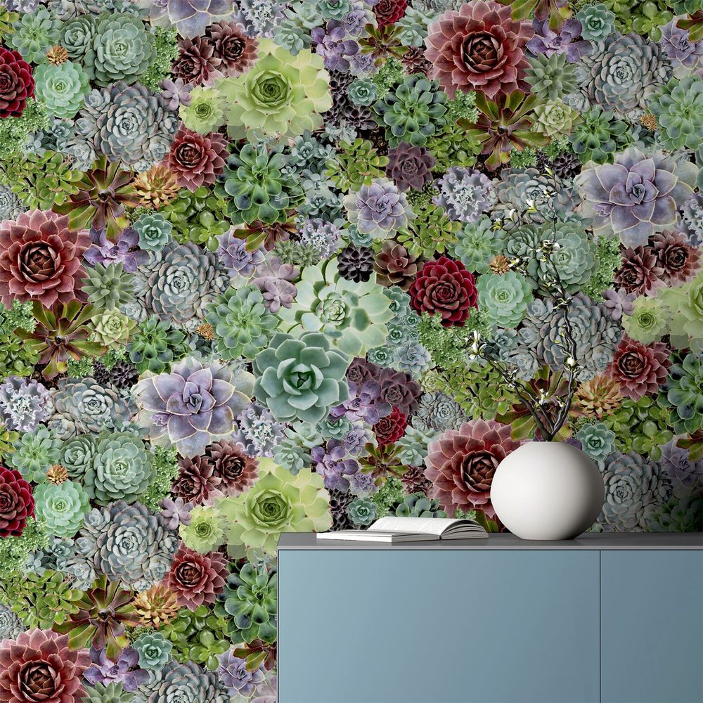Succulent Living Wall Multi