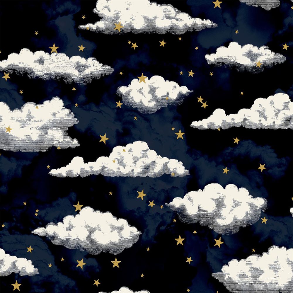 Stars & Clouds Navy - Attention to Detail