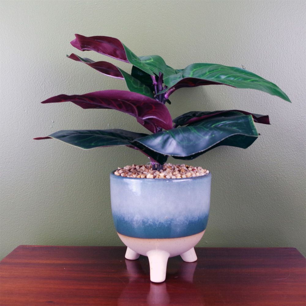 35cm Artificial Ficus Plant - Teal Blue Green Ceramic Planter