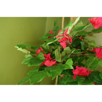 150cm Pink Japanese Silk Bougainvillea Tree: High Quality, Exquisite Beauty