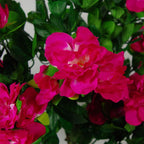 Plant 100cm Artificial Azalea Pink Flowers Potted