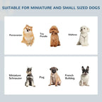 Premium Elevated Pet Feeder - Stainless Steel Bowls Stand for Small Dogs - Healthier Eating - Non-Slip Base - Easy to Clean - Durable Design