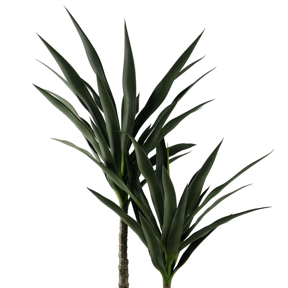 120cm UV Resistant Outdoor Yucca Tree - Realistic Leaves & Trunk