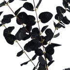 80cm Black Eucalyptus Foliage Stems - Pack of 6