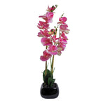 70cm Artificial Orchid Light Pink in Black Ceramic Planter