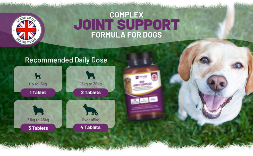 Dog Joint Support 150 Chicken Chewable Tablets 5 Months Supply - UK Made