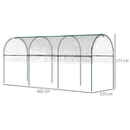 Tomato Greenhouse with Top Tap, Pointed Bottom and Guy Ropes, Clear