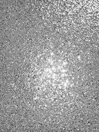 Sequin Sparkle Silver for Glamour