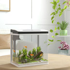 13L Glass Fish Tank w/Filter, LED Lighting, Water Pump