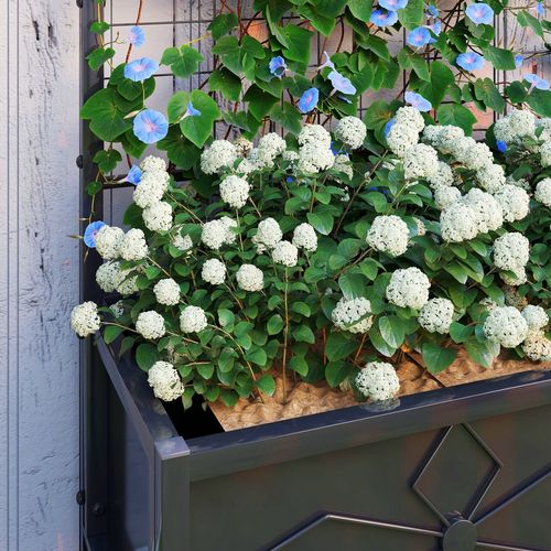 Metal Raised Garden Bed Planter Box with Trellis, 90 x 40 x 120 cm