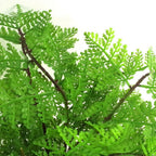 Realistic 30cm Artificial Potted Lady Fern - Lifelike (Athyrium Filix-Femina)