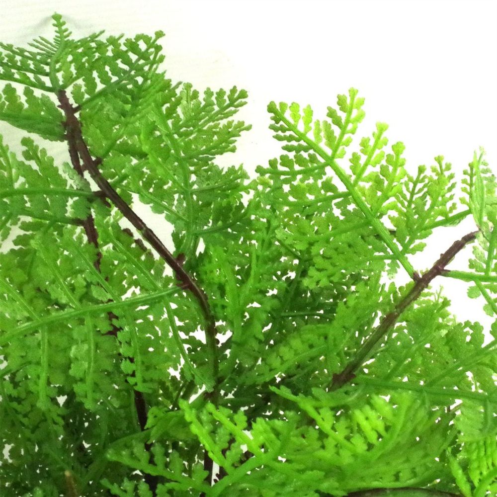 Realistic 30cm Artificial Potted Lady Fern - Lifelike (Athyrium Filix-Femina)