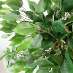 Realistic 90cm Artificial Evergreen Ficus Tree - Lifelike Indoor Decor - Perfect for Homes & Businesses - Botanically Accurate Foliage