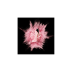 Floral & Fresh & Rose Eau de Parfum Spray 80ml