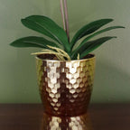 50cm Phalaenopsis Orchid Artificial - Red Leopard - Gold Pot with Realistic Detail