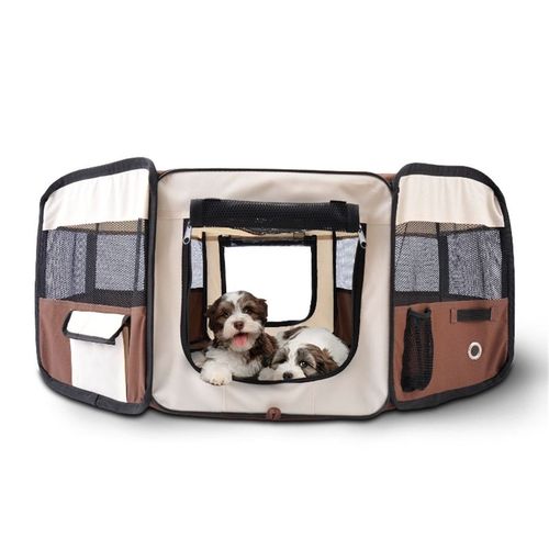 Pet Carrier with Decorative Finish