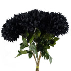 75cm Extra Large Chrysanthemum - Black
